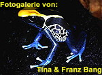 Zur Fotogalerie von Tina & Franz Bang