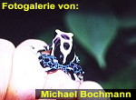 Zur Fotogalerie von Michael Bochmann