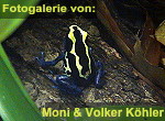 Zur Fotogalerie von Moni & Volker K&ouml;hler