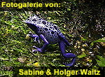 Zur Fotogalerie von Sabine & Holger Waitz