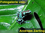 Zur Fotogalerie von Andreas Zarling